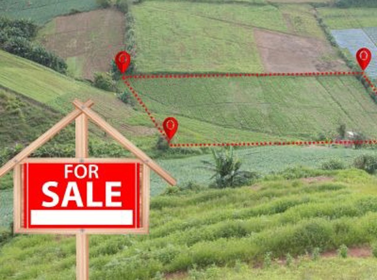 Tanteo y Retracto Legal (On Demand)